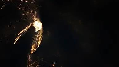金色大气星空科幻粒子飞鸟翱翔动画AE模板视频的预览图